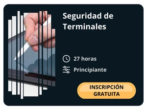 Seguridad de Terminales